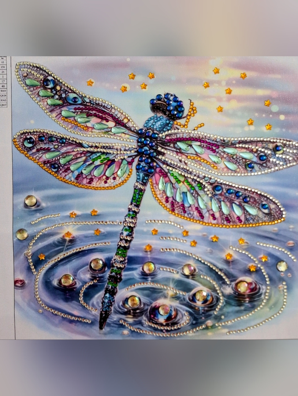 Completed DragonflyDiamond Art
